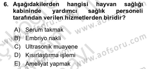 Veteriner Hizmetleri Mevzuatı ve Etik Dersi 2024 - 2025 Yılı Yaz Okulu Sınav Soruları 6. Soru