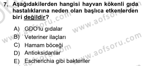 Veteriner Hizmetleri Mevzuatı ve Etik Dersi 2024 - 2025 Yılı Yaz Okulu Sınav Soruları 7. Soru