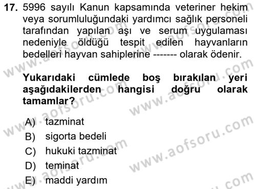Veteriner Hizmetleri Mevzuatı ve Etik Dersi 2025 - 2026 Yılı (Vize) Ara Sınav Soruları 17. Soru