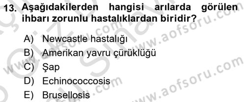 Veteriner Hizmetleri Mevzuatı ve Etik Dersi 2025 - 2026 Yılı (Final) Dönem Sonu Sınav Soruları 13. Soru