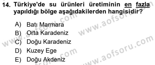 Veteriner Hizmetleri Mevzuatı ve Etik Dersi 2025 - 2026 Yılı (Final) Dönem Sonu Sınav Soruları 14. Soru