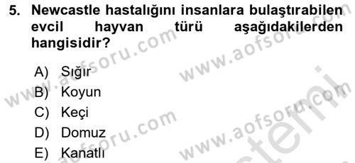 Veteriner Hizmetleri Mevzuatı ve Etik Dersi 2025 - 2026 Yılı (Final) Dönem Sonu Sınav Soruları 5. Soru
