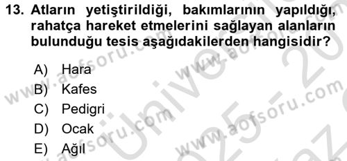 Veteriner Hizmetleri Mevzuatı ve Etik Dersi 2025 - 2026 Yılı Yaz Okulu Sınav Soruları 13. Soru