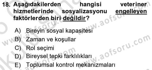 Veteriner Hizmetleri Mevzuatı ve Etik Dersi 2025 - 2026 Yılı Yaz Okulu Sınav Soruları 18. Soru