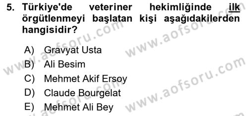 Veteriner Hizmetleri Mevzuatı ve Etik Dersi 2025 - 2026 Yılı Yaz Okulu Sınav Soruları 5. Soru