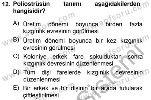 Temel Klinik Bilgisi Dersi 2012 - 2013 Yılı (Vize) Ara Sınav Soruları 12. Soru