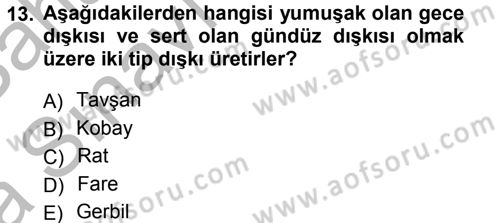 Temel Klinik Bilgisi Dersi 2012 - 2013 Yılı (Vize) Ara Sınav Soruları 13. Soru