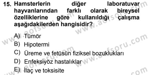 Temel Klinik Bilgisi Dersi 2012 - 2013 Yılı (Vize) Ara Sınav Soruları 15. Soru