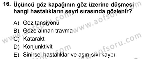 Temel Klinik Bilgisi Dersi 2012 - 2013 Yılı (Vize) Ara Sınav Soruları 16. Soru
