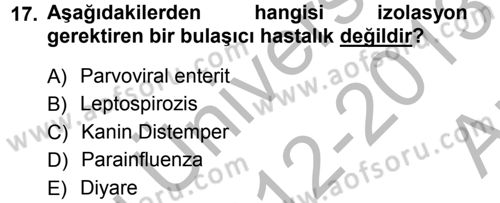 Temel Klinik Bilgisi Dersi 2012 - 2013 Yılı (Vize) Ara Sınav Soruları 17. Soru