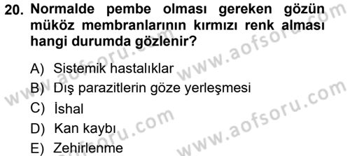 Temel Klinik Bilgisi Dersi 2012 - 2013 Yılı (Vize) Ara Sınav Soruları 20. Soru
