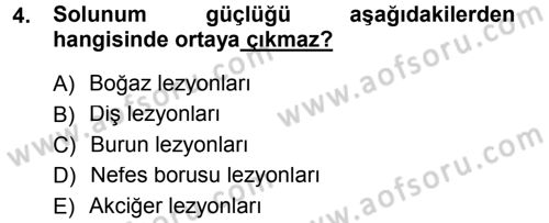 Temel Klinik Bilgisi Dersi 2012 - 2013 Yılı (Vize) Ara Sınav Soruları 4. Soru