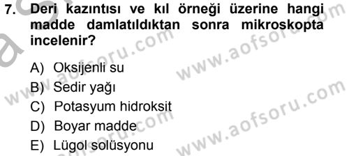 Temel Klinik Bilgisi Dersi 2012 - 2013 Yılı (Vize) Ara Sınav Soruları 7. Soru