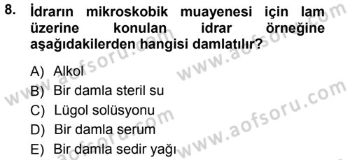 Temel Klinik Bilgisi Dersi 2012 - 2013 Yılı (Vize) Ara Sınav Soruları 8. Soru