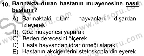 Temel Klinik Bilgisi Dersi 2012 - 2013 Yılı (Final) Dönem Sonu Sınav Soruları 10. Soru