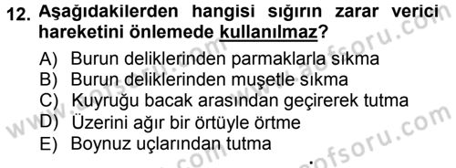 Temel Klinik Bilgisi Dersi 2012 - 2013 Yılı (Final) Dönem Sonu Sınav Soruları 12. Soru