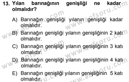Temel Klinik Bilgisi Dersi 2012 - 2013 Yılı (Final) Dönem Sonu Sınav Soruları 13. Soru