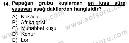 Temel Klinik Bilgisi Dersi 2012 - 2013 Yılı (Final) Dönem Sonu Sınav Soruları 14. Soru