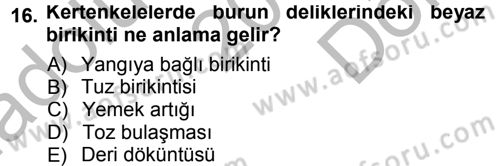 Temel Klinik Bilgisi Dersi 2012 - 2013 Yılı (Final) Dönem Sonu Sınav Soruları 16. Soru