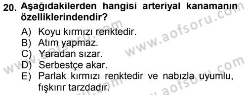 Temel Klinik Bilgisi Dersi 2012 - 2013 Yılı (Final) Dönem Sonu Sınav Soruları 20. Soru