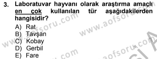 Temel Klinik Bilgisi Dersi 2012 - 2013 Yılı (Final) Dönem Sonu Sınav Soruları 3. Soru