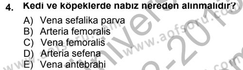 Temel Klinik Bilgisi Dersi 2012 - 2013 Yılı (Final) Dönem Sonu Sınav Soruları 4. Soru