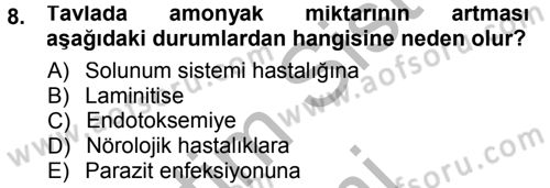 Temel Klinik Bilgisi Dersi 2012 - 2013 Yılı (Final) Dönem Sonu Sınav Soruları 8. Soru