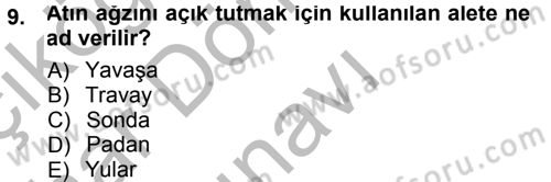 Temel Klinik Bilgisi Dersi 2012 - 2013 Yılı (Final) Dönem Sonu Sınav Soruları 9. Soru