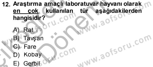 Temel Klinik Bilgisi Dersi 2013 - 2014 Yılı (Vize) Ara Sınav Soruları 12. Soru