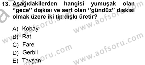 Temel Klinik Bilgisi Dersi 2013 - 2014 Yılı (Vize) Ara Sınav Soruları 13. Soru