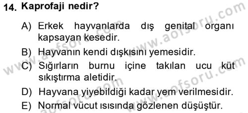 Temel Klinik Bilgisi Dersi 2013 - 2014 Yılı (Vize) Ara Sınav Soruları 14. Soru
