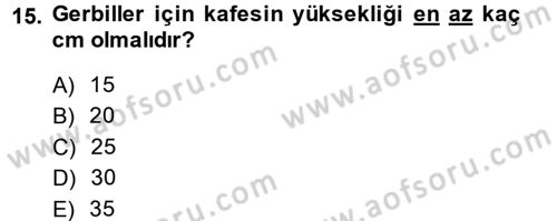 Temel Klinik Bilgisi Dersi 2013 - 2014 Yılı (Vize) Ara Sınav Soruları 15. Soru