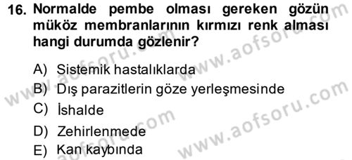 Temel Klinik Bilgisi Dersi 2013 - 2014 Yılı (Vize) Ara Sınav Soruları 16. Soru