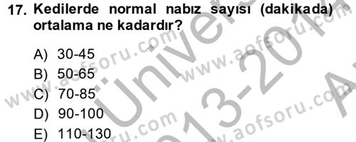 Temel Klinik Bilgisi Dersi 2013 - 2014 Yılı (Vize) Ara Sınav Soruları 17. Soru
