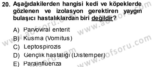 Temel Klinik Bilgisi Dersi 2013 - 2014 Yılı (Vize) Ara Sınav Soruları 20. Soru