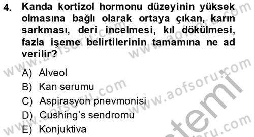 Temel Klinik Bilgisi Dersi 2013 - 2014 Yılı (Vize) Ara Sınav Soruları 4. Soru
