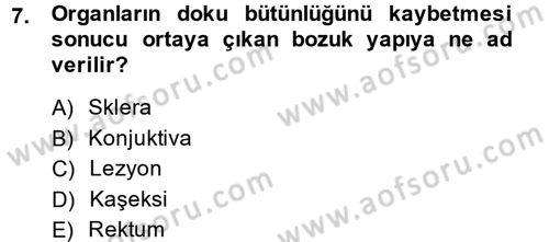 Temel Klinik Bilgisi Dersi 2013 - 2014 Yılı (Vize) Ara Sınav Soruları 7. Soru