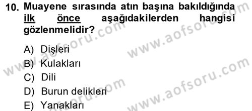 Temel Klinik Bilgisi Dersi 2013 - 2014 Yılı (Final) Dönem Sonu Sınav Soruları 10. Soru