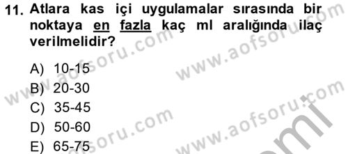 Temel Klinik Bilgisi Dersi 2013 - 2014 Yılı (Final) Dönem Sonu Sınav Soruları 11. Soru