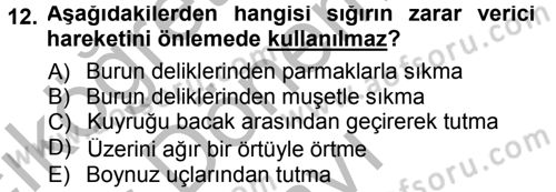Temel Klinik Bilgisi Dersi 2013 - 2014 Yılı (Final) Dönem Sonu Sınav Soruları 12. Soru