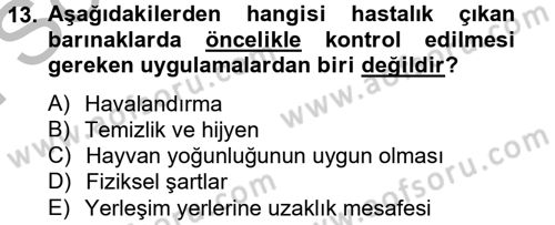 Temel Klinik Bilgisi Dersi 2013 - 2014 Yılı (Final) Dönem Sonu Sınav Soruları 13. Soru