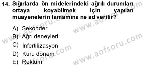 Temel Klinik Bilgisi Dersi 2013 - 2014 Yılı (Final) Dönem Sonu Sınav Soruları 14. Soru