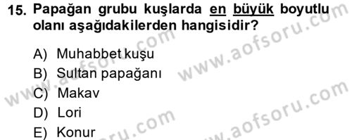 Temel Klinik Bilgisi Dersi 2013 - 2014 Yılı (Final) Dönem Sonu Sınav Soruları 15. Soru