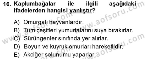 Temel Klinik Bilgisi Dersi 2013 - 2014 Yılı (Final) Dönem Sonu Sınav Soruları 16. Soru
