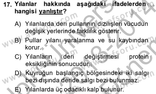 Temel Klinik Bilgisi Dersi 2013 - 2014 Yılı (Final) Dönem Sonu Sınav Soruları 17. Soru