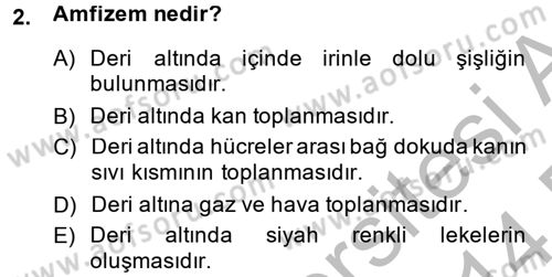 Temel Klinik Bilgisi Dersi 2013 - 2014 Yılı (Final) Dönem Sonu Sınav Soruları 2. Soru