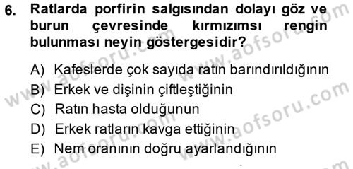 Temel Klinik Bilgisi Dersi 2013 - 2014 Yılı (Final) Dönem Sonu Sınav Soruları 6. Soru