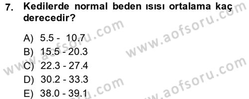 Temel Klinik Bilgisi Dersi 2013 - 2014 Yılı (Final) Dönem Sonu Sınav Soruları 7. Soru