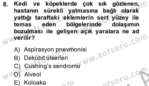 Temel Klinik Bilgisi Dersi 2013 - 2014 Yılı (Final) Dönem Sonu Sınav Soruları 8. Soru