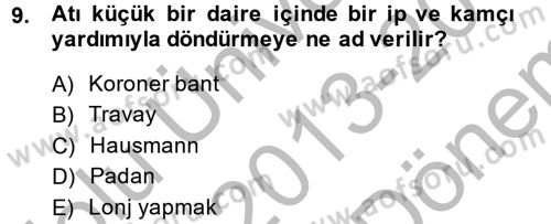 Temel Klinik Bilgisi Dersi 2013 - 2014 Yılı (Final) Dönem Sonu Sınav Soruları 9. Soru